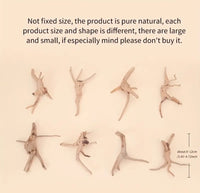 Nano Driftwood Pieces