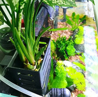 Plant Holder - Hang on Back Aquaponics