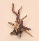Nano Spiderwood Driftwood