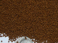 Guppy Barn Aquatics - INTENSE Cichlid Color Food (1.5 mm Floating Pellet)